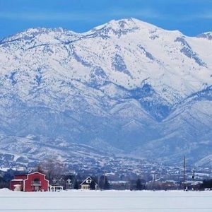 Meet your Posher, Tom